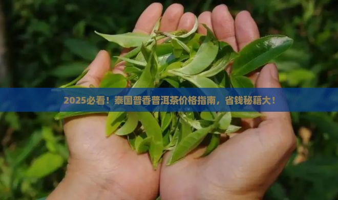 泰国普香普洱茶价格表