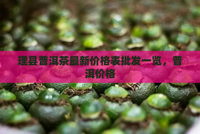 理县普洱茶价格表一览