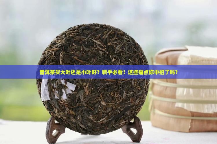 普洱茶买大叶还是小叶好