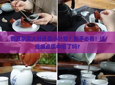 普洱茶买大叶还是小叶好