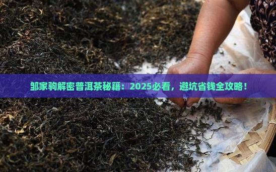 邹家驹讲普洱茶全集