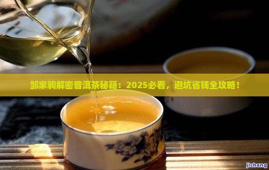邹家驹讲普洱茶全集