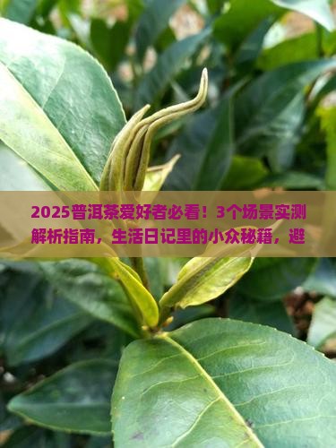 生活日记普洱茶