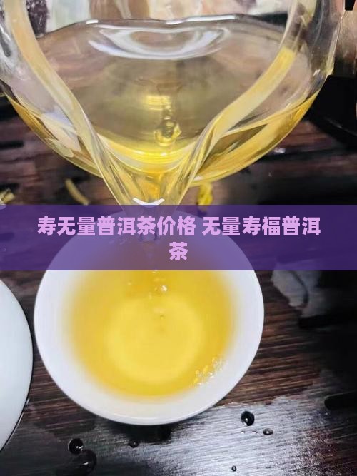 寿无量普洱茶价格