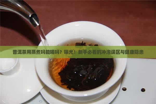 普洱茶用蒸煮吗能喝吗百度百科