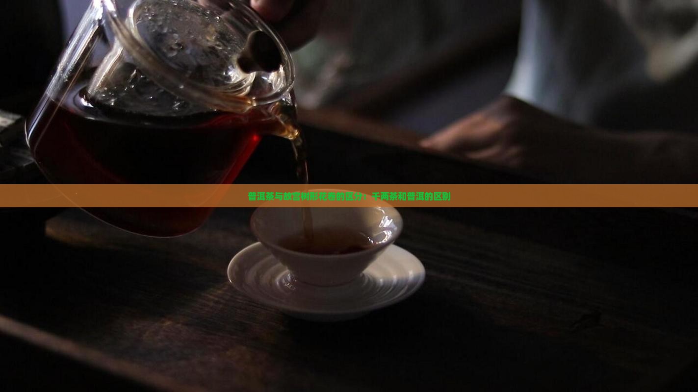 千两茶和普洱茶