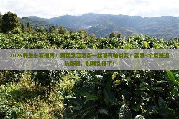 黄芪跟普洱茶可以一起喝吗