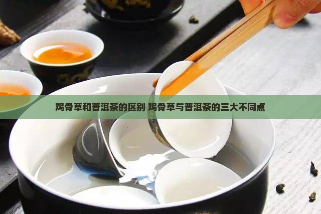 鸡骨草和普洱茶的区别