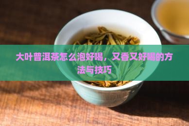 大叶普洱茶怎么泡好喝