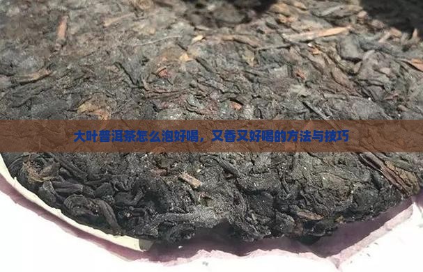 大叶普洱茶怎么泡好喝