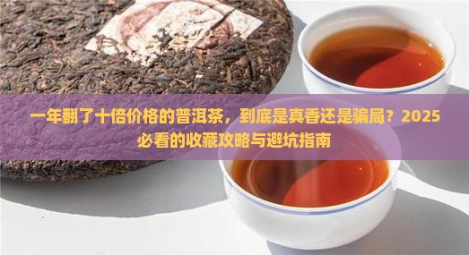 一年翻了十倍价格的普洱茶