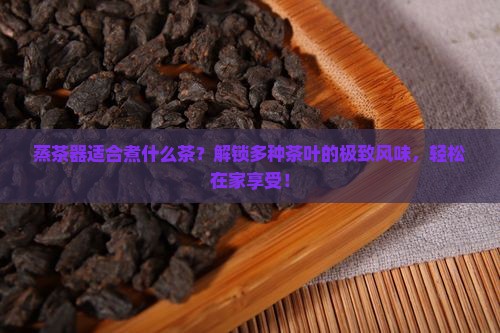 蒸茶器适合煮什么茶
