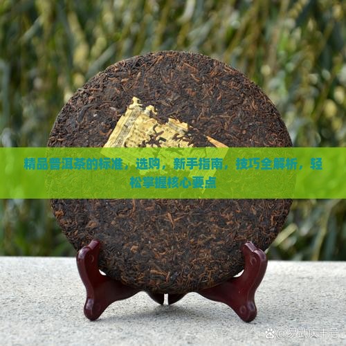 精品普洱茶的标准