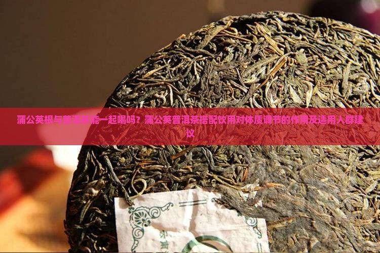 蒲公英根与普洱茶能一起喝吗