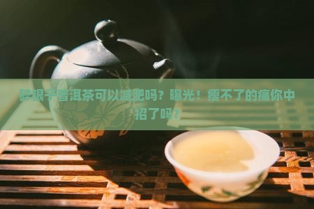 碎银子普洱茶可以减肥吗