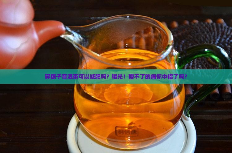 碎银子普洱茶可以减肥吗