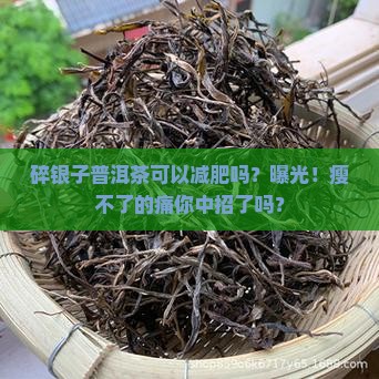 碎银子普洱茶可以减肥吗