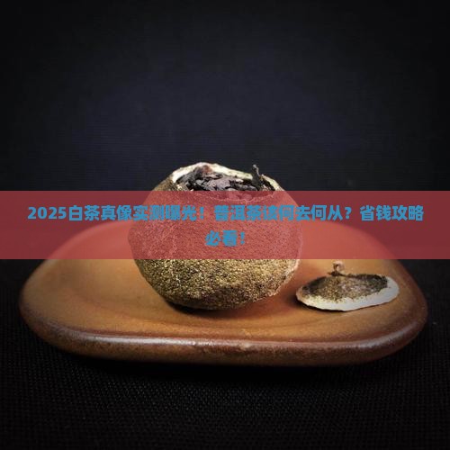 白茶对普洱茶的冲击 白茶对普洱茶的冲击