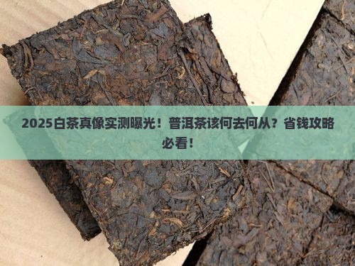 白茶对普洱茶的冲击 白茶对普洱茶的冲击