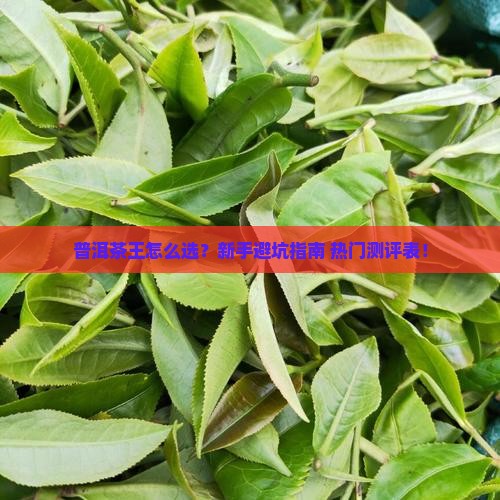 普洱茶王品牌推荐测评表