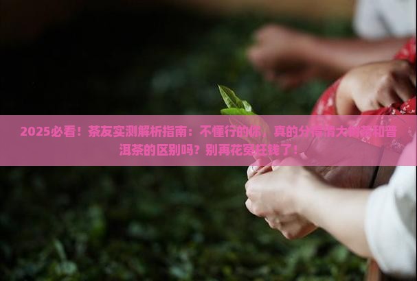 大树茶和普洱茶有什么区别