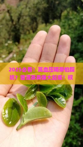高血压病人适合喝普洱茶吗