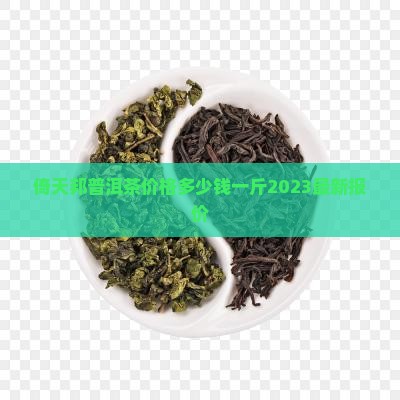 倚天邦普洱茶价格多少钱一斤