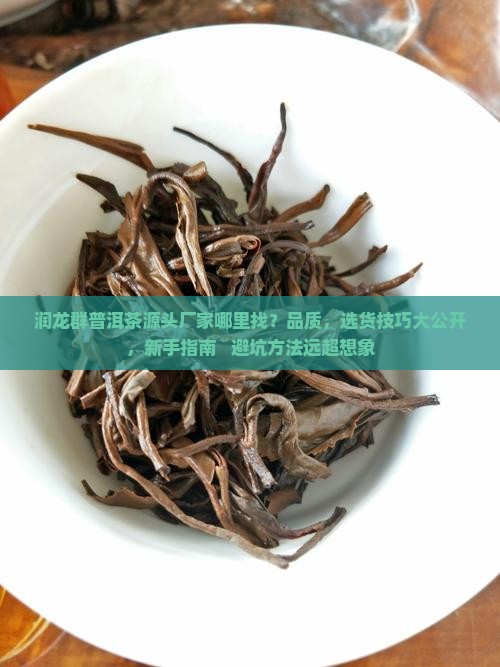 润龙群普洱茶源头厂家