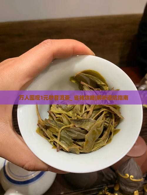 万人围观1元秒普洱茶