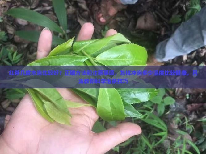 红茶用几度的水泡好 红茶用几度的水泡好