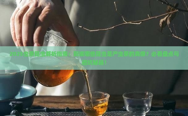产虫茶的昆虫主要有