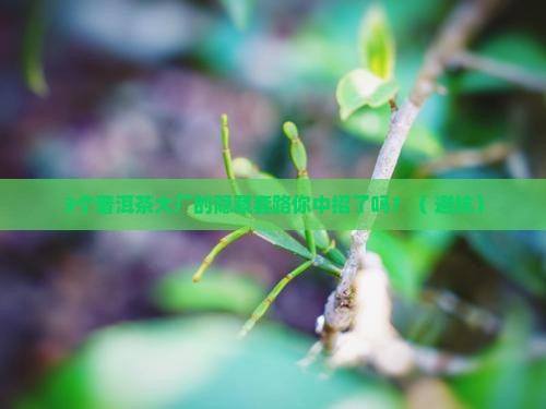普洱茶知名企业的经营状况