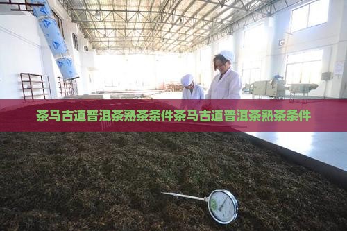 茶马古道普洱茶熟茶条件