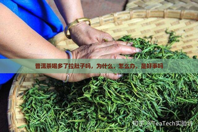 普洱茶喝多了拉肚子吗