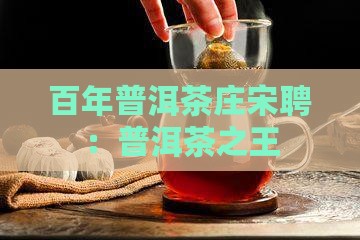 普洱茶之王宋聘