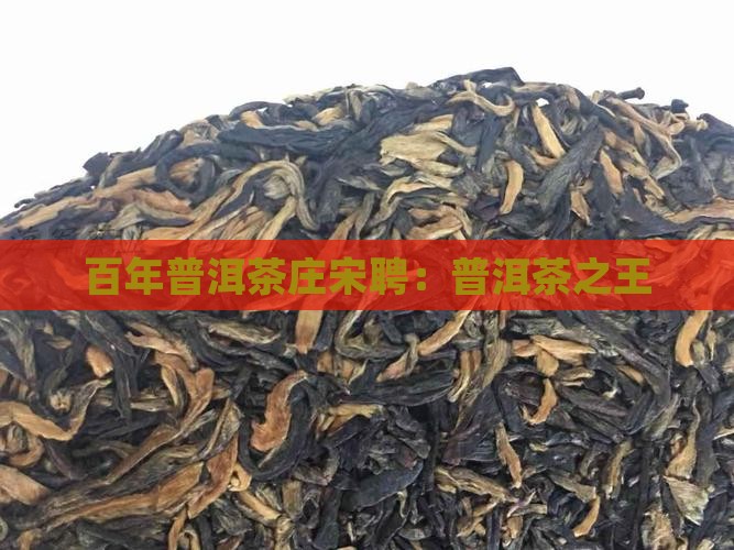 普洱茶之王宋聘
