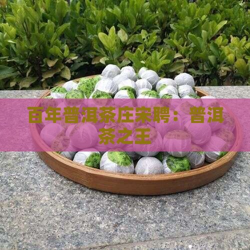 普洱茶之王宋聘