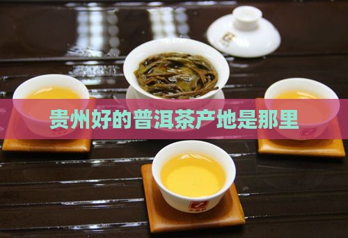 贵州好的普洱茶产地是那里