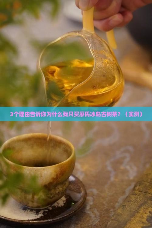 廖氏冰岛古树茶