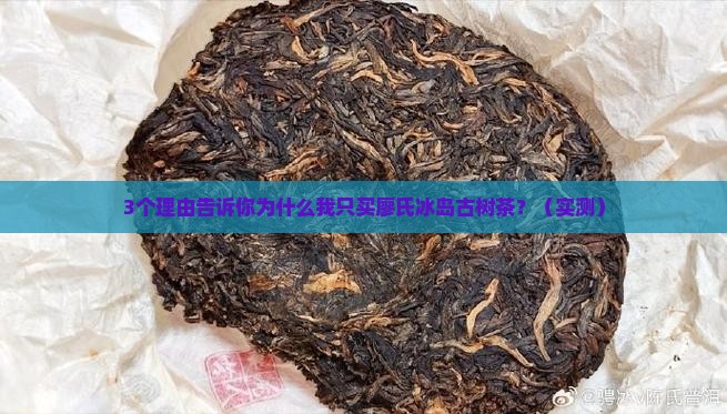 廖氏冰岛古树茶
