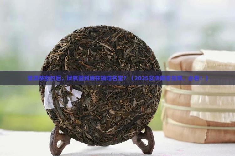 普洱茶密封厌氧菌