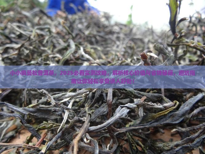 小小疯曼松普洱茶
