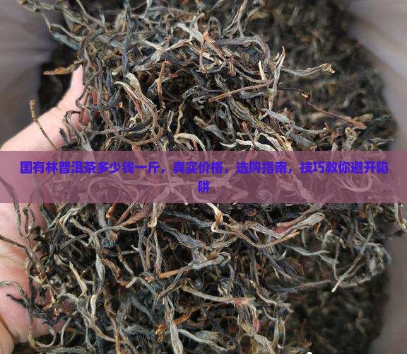 国有林普洱茶多少钱一斤