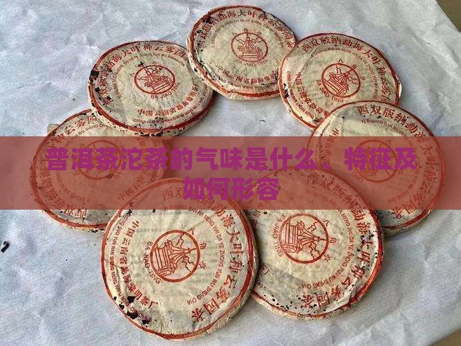 普洱茶沱茶的气味