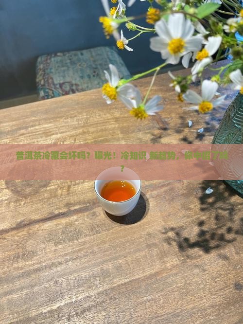 普洱茶冷藏会坏吗