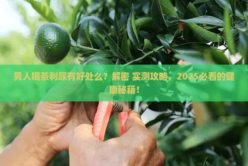 男人喝茶利尿有好处么