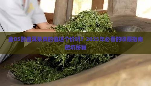 金85熟普洱茶价格