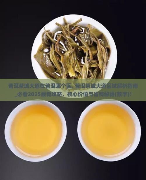 普洱茶城大道在普洱哪个区
