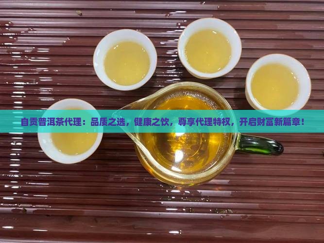 自贡普洱茶代理
