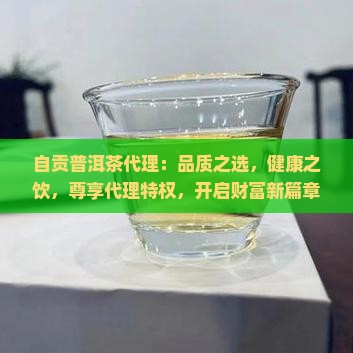 自贡普洱茶代理